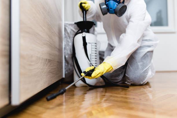 Professional Pest Control in Forestbrook, SC