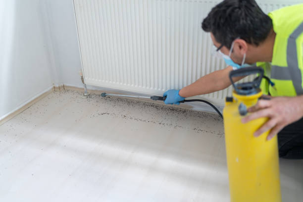 Best Local Pest Control Services  in Forestbrook, SC
